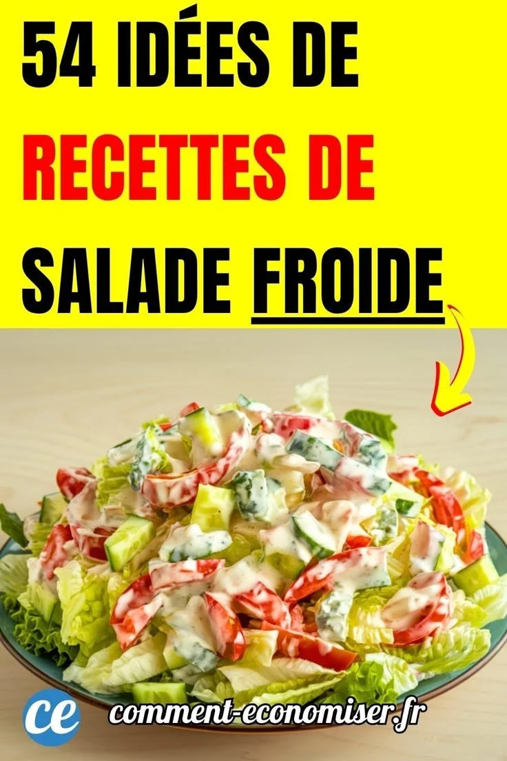 Recettes de salade froide pour l'été avec ingrédients colorés et variés