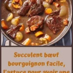 boeuf bourguignon lastuce pour viande tres tendre 2026 07 22 145327 1
