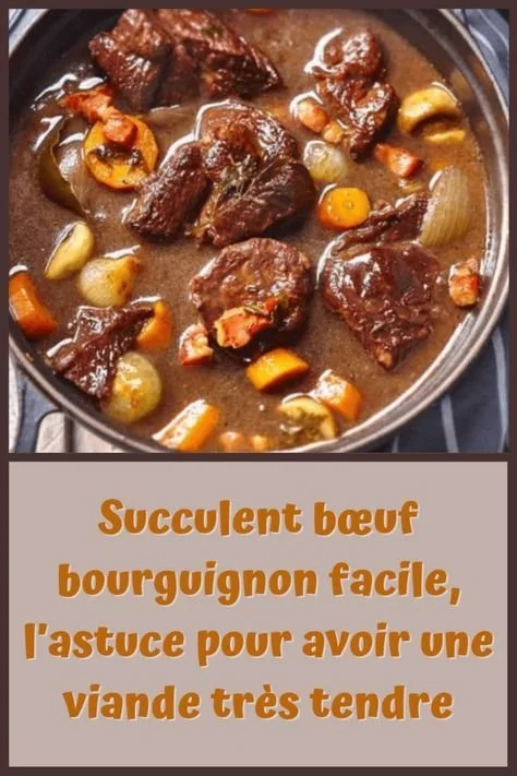 Plat de bœuf bourguignon avec viande fondante et légumes