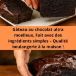 gateau au chocolat ultra moelleux fait avec des i 2026 07 23 091102 576x1024 1