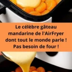 le celebre gateau mandarine de lairfryer dont tou 2026 07 22 145255 576x1024 1