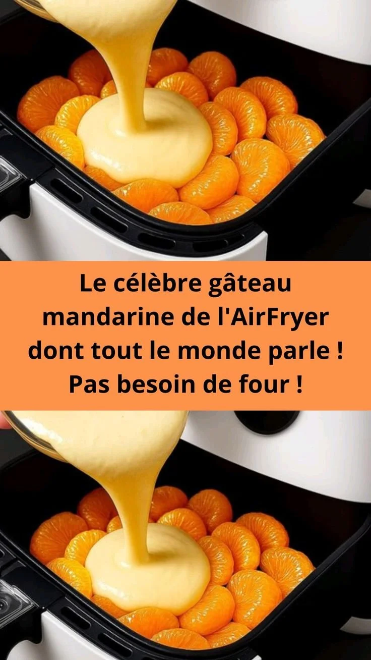 Gâteau mandarine cuit à l'AirFryer, délicieux et sans four.