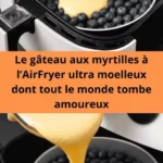 le gateau aux myrtilles a lairfryer ultra moelleu 2026 07 18 032748 576x1024 1