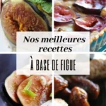 nos 50 meilleures recettes a base de figues 2026 07 18 032737 1