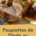 paupiettes de dinde au cookeo 2026 07 22 145317 683x1024 1